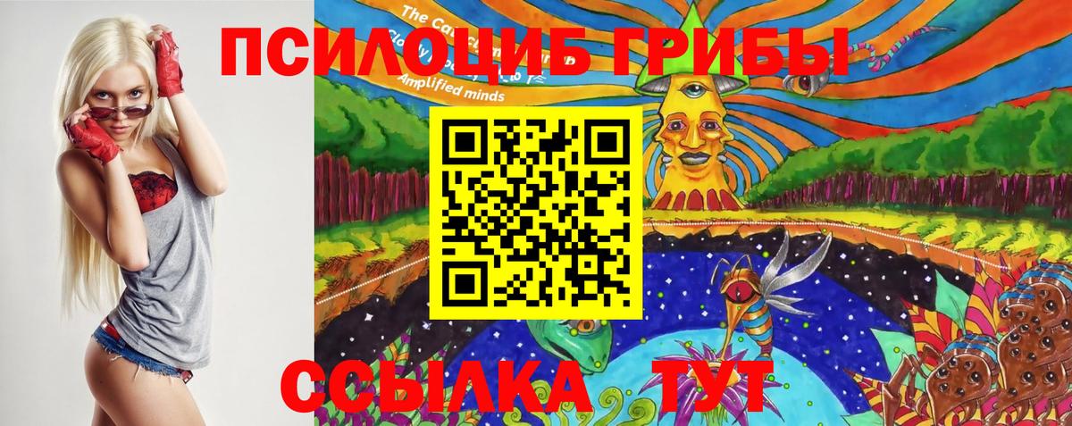 Галлюциногенные грибы прущие грибы Качканар