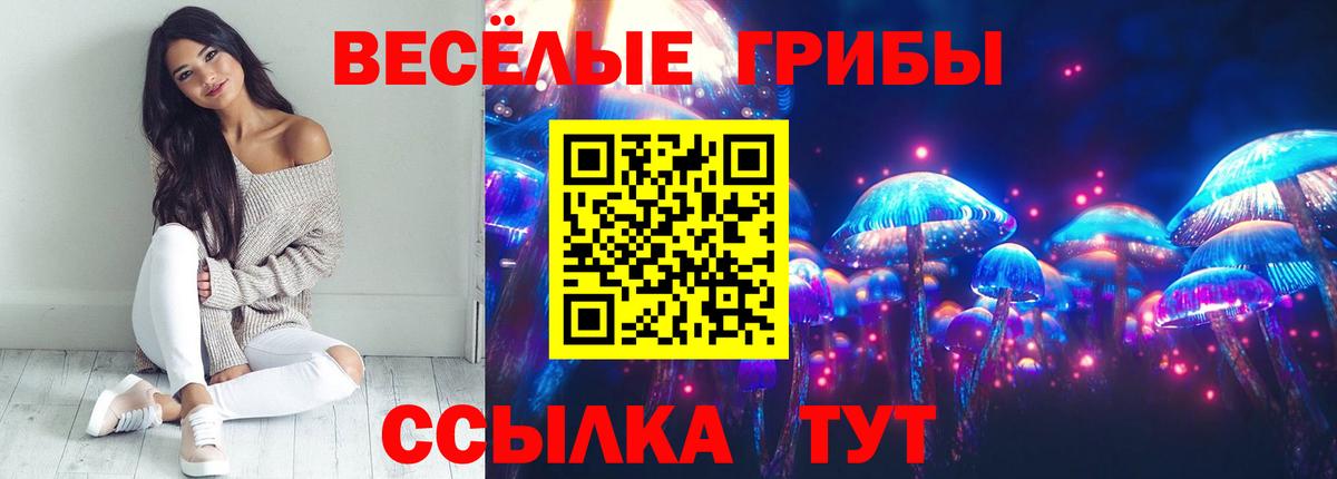 Качканар  Псилоцибиновые грибы MAGIC MUSHROOMS  Вход с VPN  Псилоцибиновые грибы ЛСД 